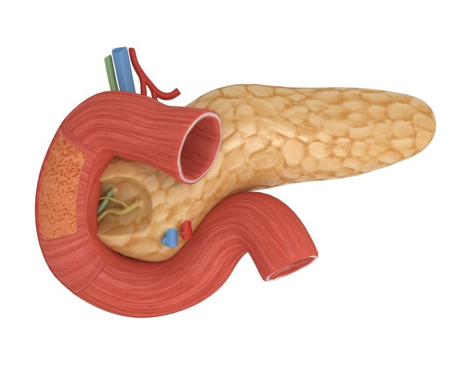 goede gevoeligheid voor pancreasinsuline na inname van Glucoren